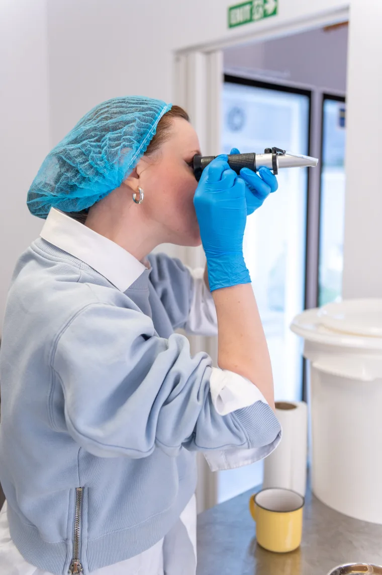 Ioana checking a batch of kombucha with a refractometer in the Sighișoara workshop