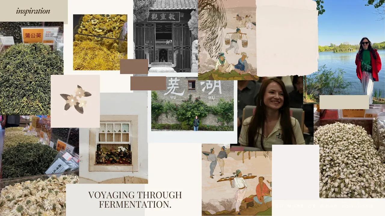 Moodboard collage of China travel, traditional tea culture, and kombucha inspiration