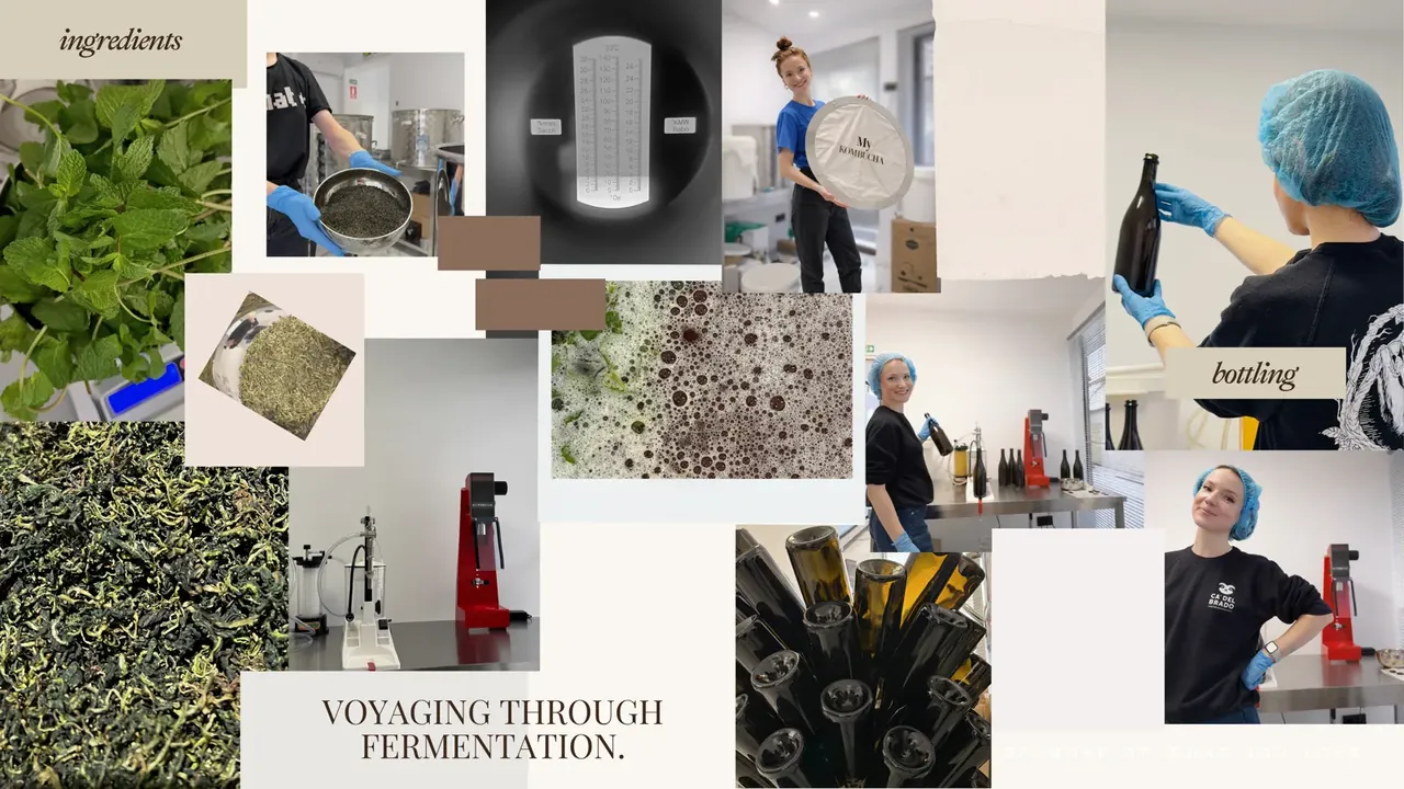 Moodboard collage of kombucha ingredients, brewing process, and hand-bottling