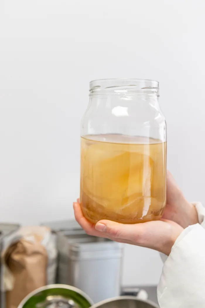 A hand holding a jar with a living kombucha culture during fermentation